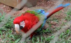 Foto de la galería: Zoo-Bal-Park