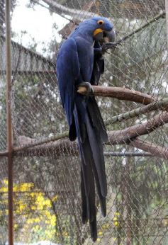 Foto de la galería: Zoo-Bal-Park