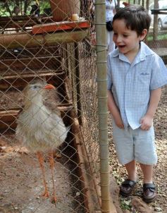 Foto de la galería: Zoo-Bal-Park