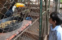 Foto de la galería: Zoo-Bal-Park