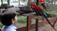 Foto de la galería: Zoo-Bal-Park