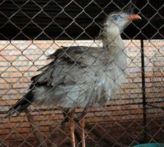 Foto de la galería: Zoo-Bal-Park