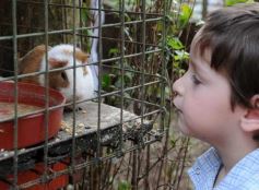 Foto de la galería: Zoo-Bal-Park