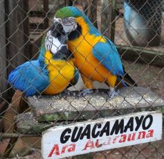 Foto de la galería: Zoo-Bal-Park