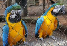 Foto de la galería: Zoo-Bal-Park