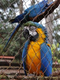 Foto de la galería: Zoo-Bal-Park