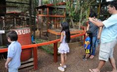 Foto de la galería: Zoo-Bal-Park