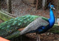 Foto de la galería: Zoo-Bal-Park