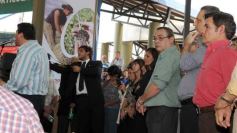 Foto de la galería: Nuevo edificio del Mercado Concentrador de Posadas