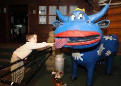 Foto de la galería: La colectividad italiana mantiene el reinado