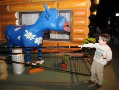 Foto de la galería: La colectividad italiana mantiene el reinado