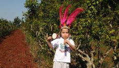 Foto de la galería: Casas de los pajaros (Guira oga)