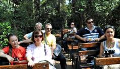 Foto de la galería: Casas de los pajaros (Guira oga)