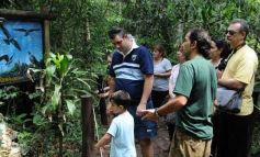 Foto de la galería: Casas de los pajaros (Guira oga)