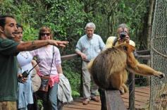 Foto de la galería: Casas de los pajaros (Guira oga)