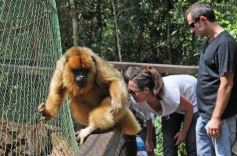 Foto de la galería: Casas de los pajaros (Guira oga)