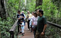 Foto de la galería: Casas de los pajaros (Guira oga)