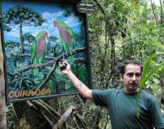 Foto de la galería: Casas de los pajaros (Guira oga)