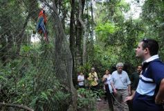Foto de la galería: Casas de los pajaros (Guira oga)