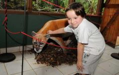 Foto de la galería: Casas de los pajaros (Guira oga)