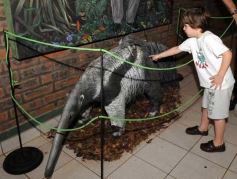Foto de la galería: Casas de los pajaros (Guira oga)