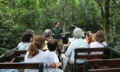 Foto de la galería: Casas de los pajaros (Guira oga)