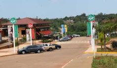 Foto de la galería: Casas de los pajaros (Guira oga)