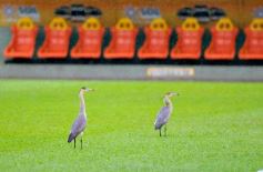 Foto de la galería: Paseos y Trabajos en Posadas