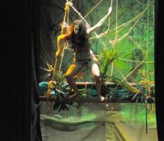 Foto de la galería: Guaynamérica Danza