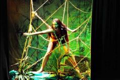 Foto de la galería: Guaynamérica Danza