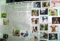 Foto de la galería: Expo Técnica 2012