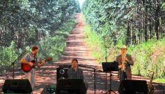 Foto de la galería: Primera noche