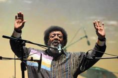 Foto de la galería: Primera noche