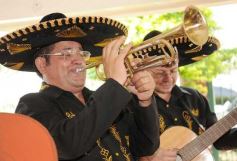 Foto de la galería: Paseos y trabajos en Posadas