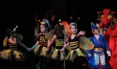 Foto de la galería: Acto de fin de año del Jardín de Infantes Nivel Inicial del Instituto Jesús Niño