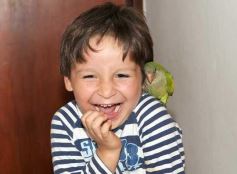 Foto de la galería: Paseos y trabajos en Posadas