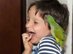 Foto de la galería: Paseos y trabajos en Posadas