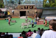 Foto de la galería: San Clemente del Tuyú: Mundo Marino y Playa!!!