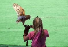 Foto de la galería: San Clemente del Tuyú: Mundo Marino y Playa!!!