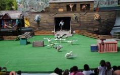 Foto de la galería: San Clemente del Tuyú: Mundo Marino y Playa!!!