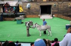 Foto de la galería: San Clemente del Tuyú: Mundo Marino y Playa!!!