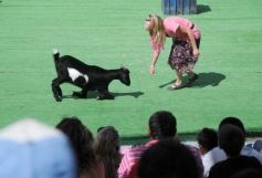 Foto de la galería: San Clemente del Tuyú: Mundo Marino y Playa!!!