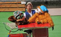 Foto de la galería: San Clemente del Tuyú: Mundo Marino y Playa!!!