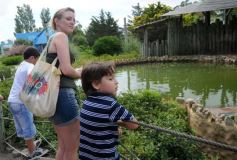 Foto de la galería: San Clemente del Tuyú: Mundo Marino y Playa!!!