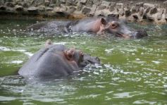 Foto de la galería: San Clemente del Tuyú: Mundo Marino y Playa!!!