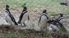 Foto de la galería: San Clemente del Tuyú: Mundo Marino y Playa!!!