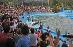 Foto de la galería: San Clemente del Tuyú: Mundo Marino y Playa!!!