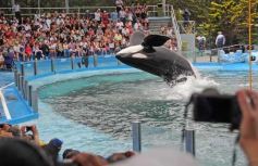 Foto de la galería: San Clemente del Tuyú: Mundo Marino y Playa!!!