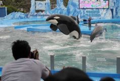 Foto de la galería: San Clemente del Tuyú: Mundo Marino y Playa!!!