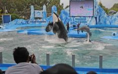 Foto de la galería: San Clemente del Tuyú: Mundo Marino y Playa!!!